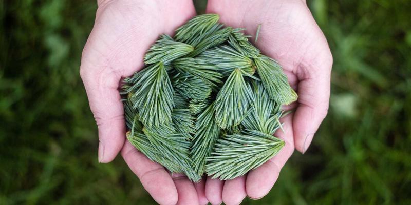 光伏电站防雷关键：直流侧与交流侧浪涌保护器的协调配合要点