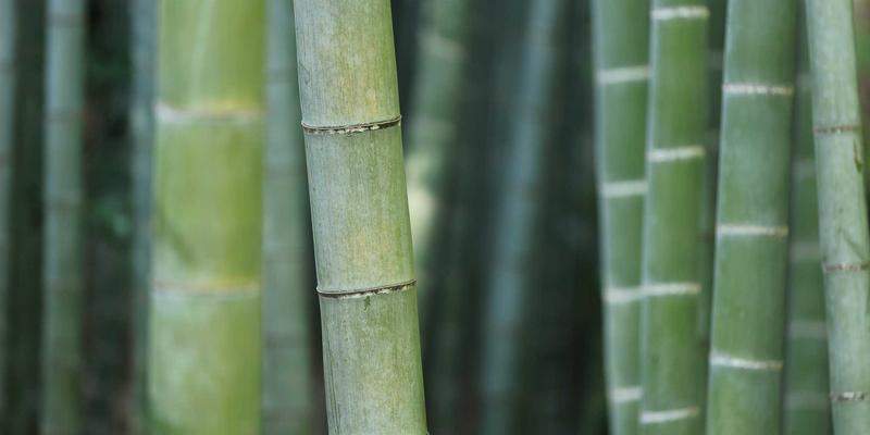 守护电气安全：防雷产品92与浪涌保护器的关键作用