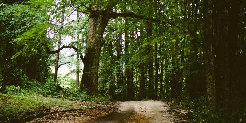 构筑现代防雷安全体系：雷电监测、防雷产品与接地系统的协同防护