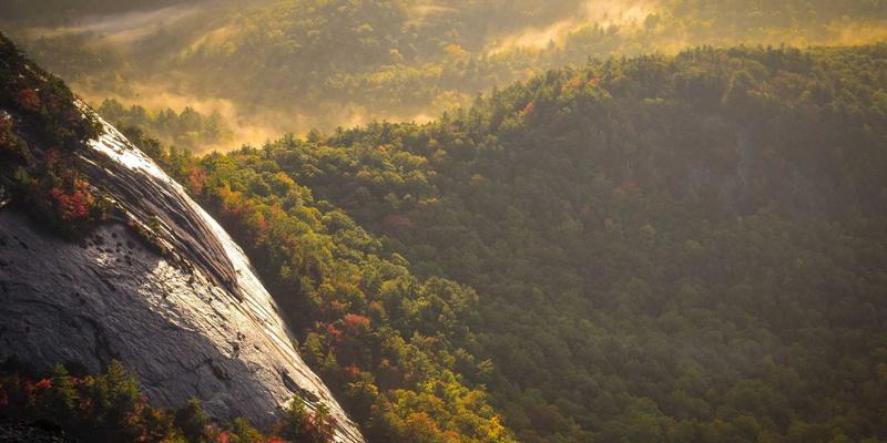 校园精密仪器与网络中心防雷安全配置指南：浪涌保护器与接地系统的关键作用