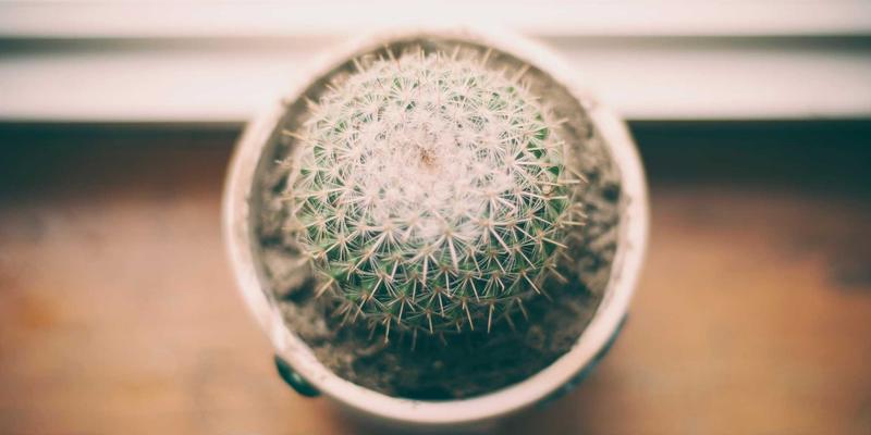 海上风电平台防雷接地关键：中国雷闪浪涌保护器在腐蚀环境下的选型与长效维护策略