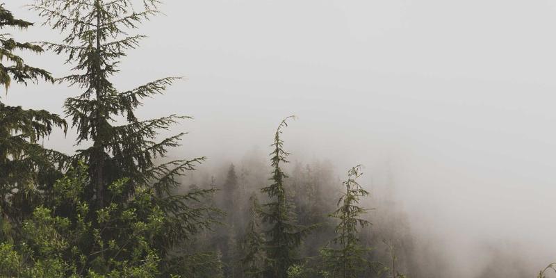 港口岸电系统防雷：高湿度盐雾环境下接地系统与安全设备的防腐性能要求