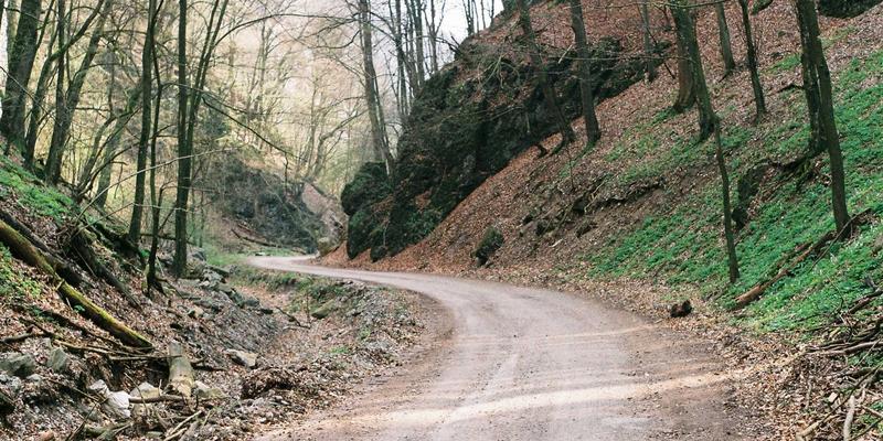 雷电监测、中国雷闪与接地系统：构建三位一体的现代防雷产品体系