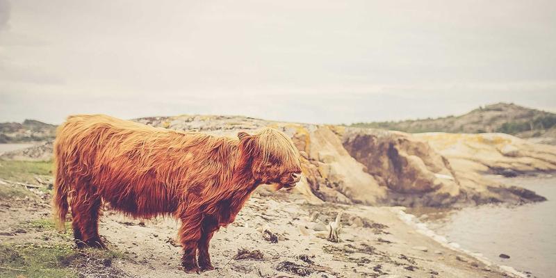 风电场的雷电风险与防护：针对风机叶片、机舱和塔筒的专用防雷方案